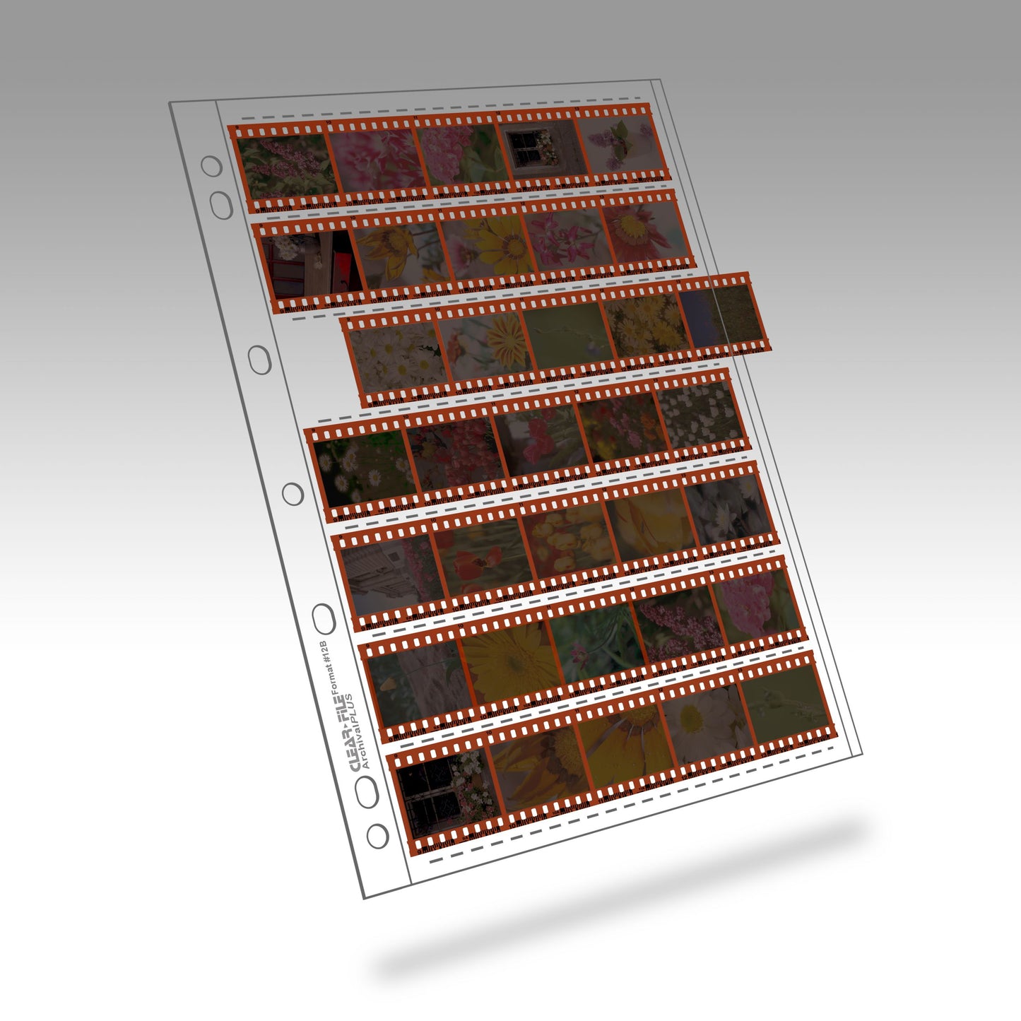 Clear File 35mm Negative Archival Pages, 7 Strips of 5, 25 Pack