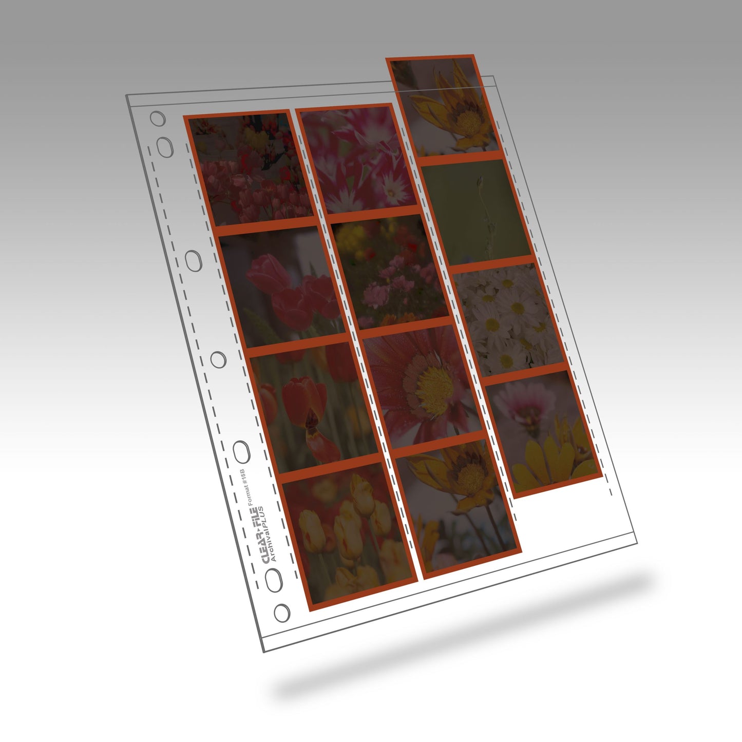 Clear File 120 Film Negative Archival Pages, 25 Pack