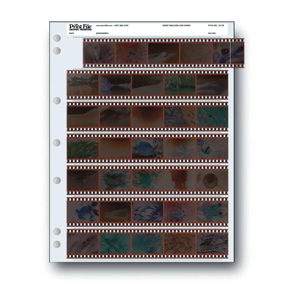 Print File 35mm Negative Archival Pages, 7 Strips of 5, 25 Pack