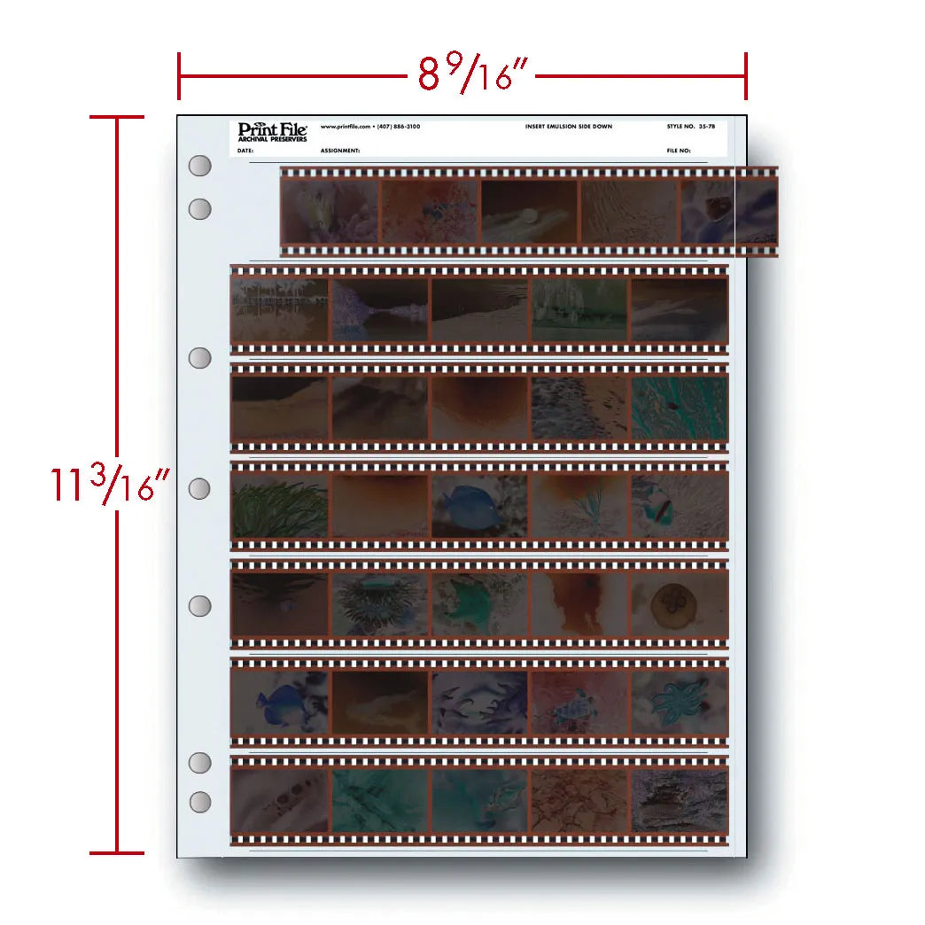 Print File 35mm Negative Archival Pages, 7 Strips of 5, 25 Pack